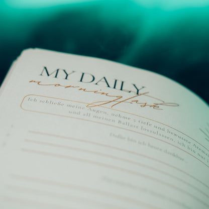 Daily Reflection Journal