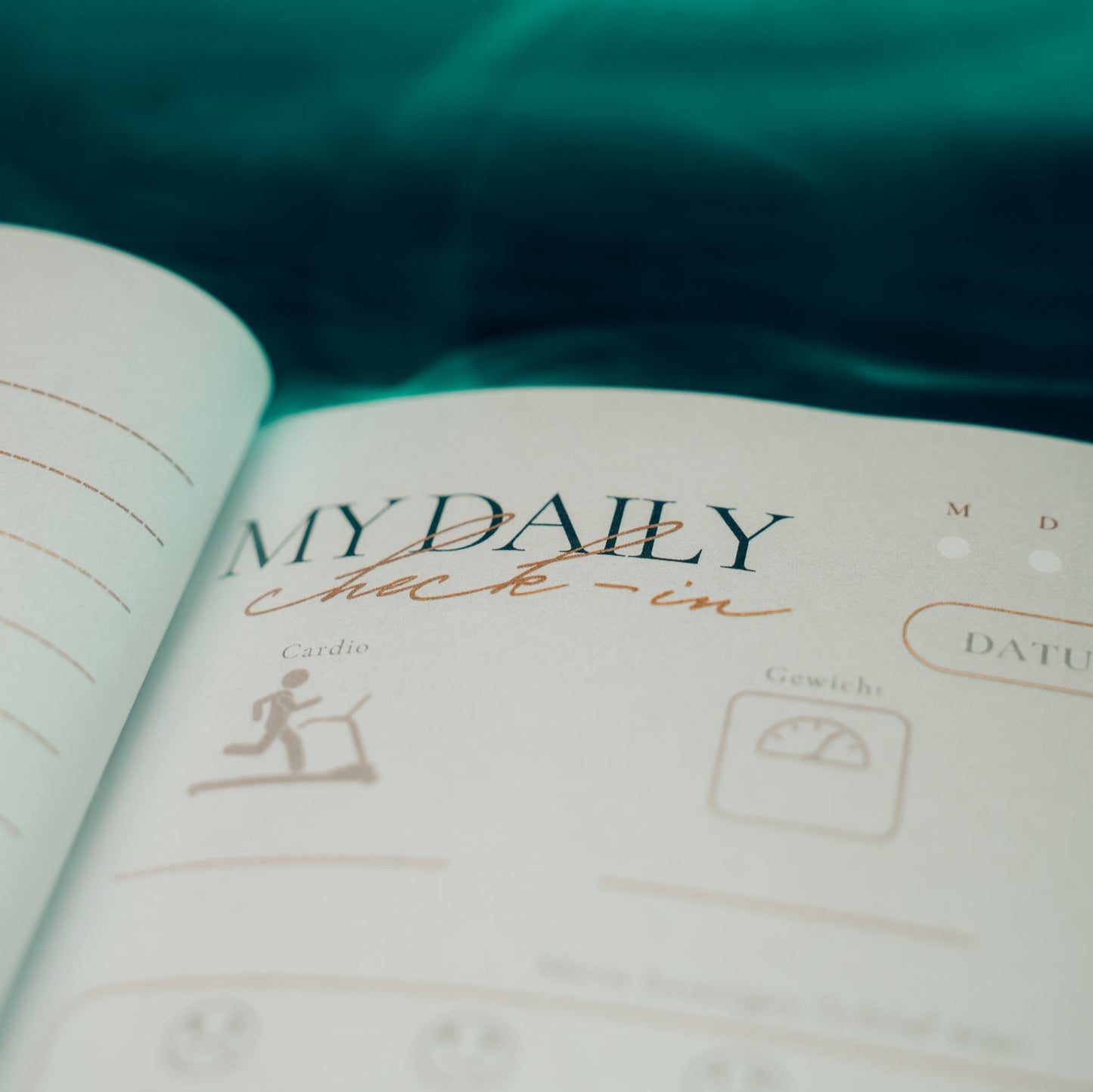 Daily Reflection Journal