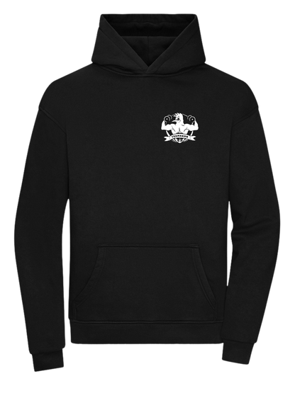 Team Hahn Oversized Hoodie